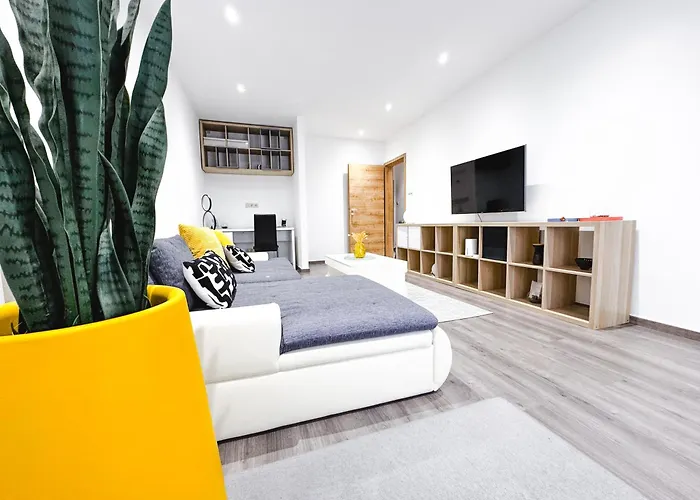 Nest -